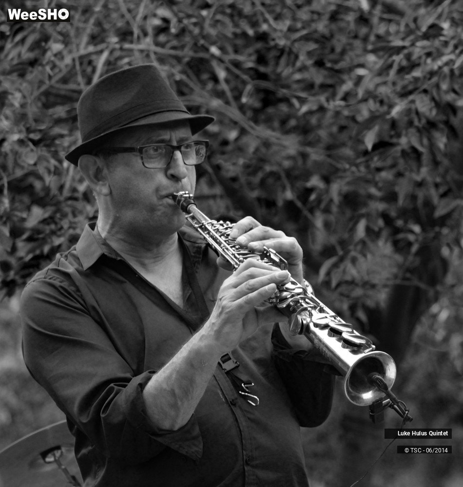 22/25 photos du spectacle Luke Hulus Quintet