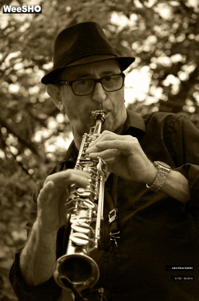 24/25 photos du spectacle Luke Hulus Quintet