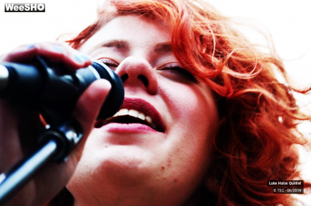 25/25 photos du spectacle Luke Hulus Quintet