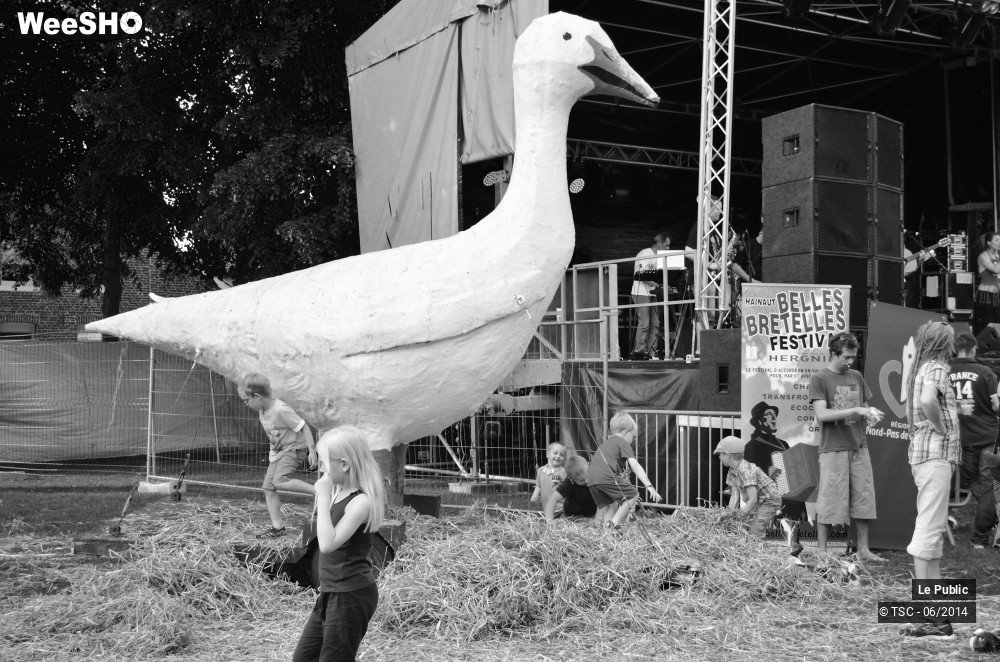 3/38 photos du spectacle Hainaut Belles Bretelles 2014 Ambiance