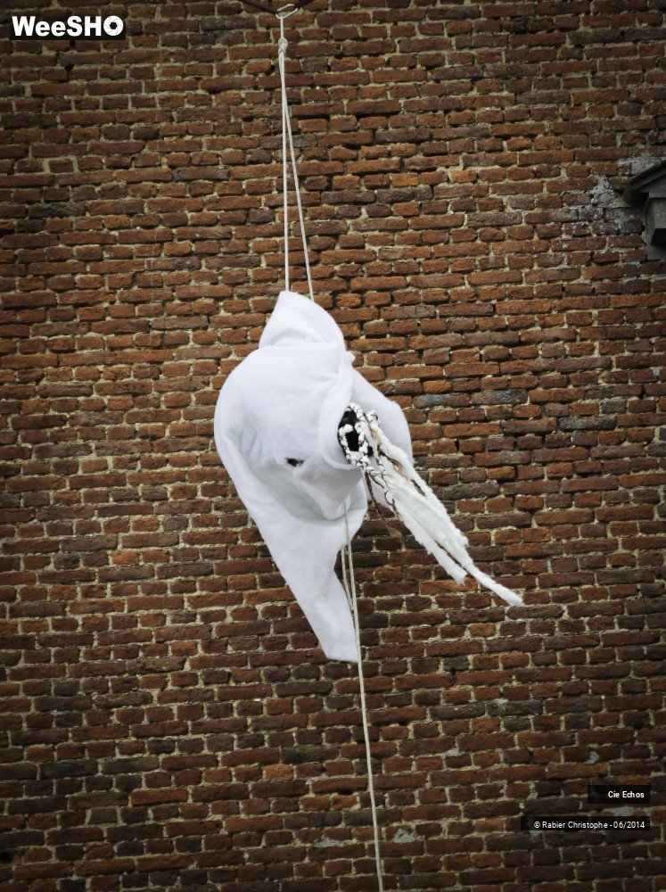 48/50 photos du spectacle Plis et vertiges