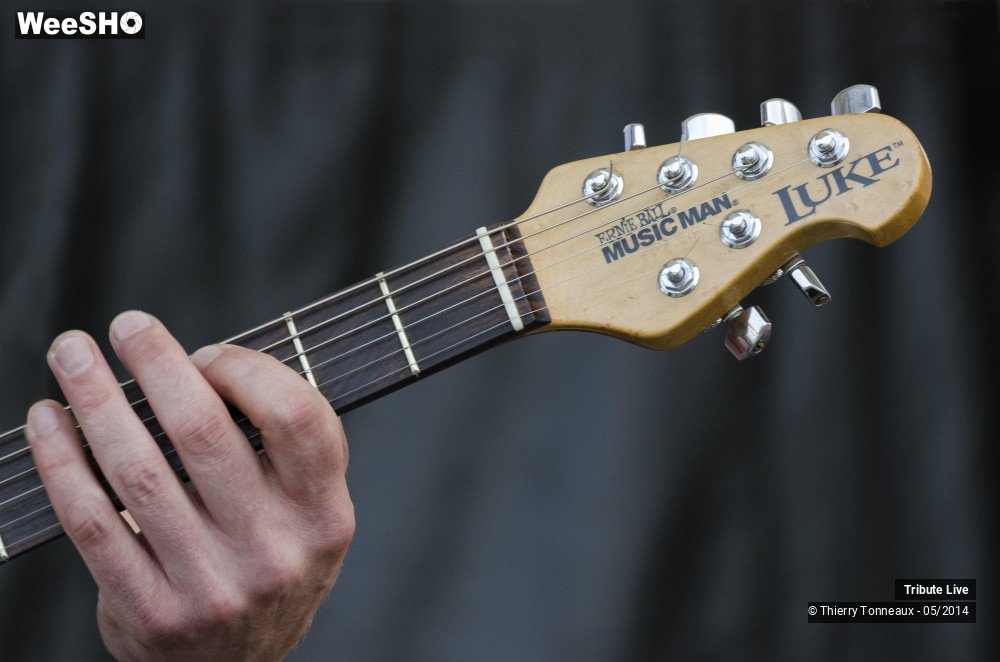 1/33 photos du spectacle Tribute Live