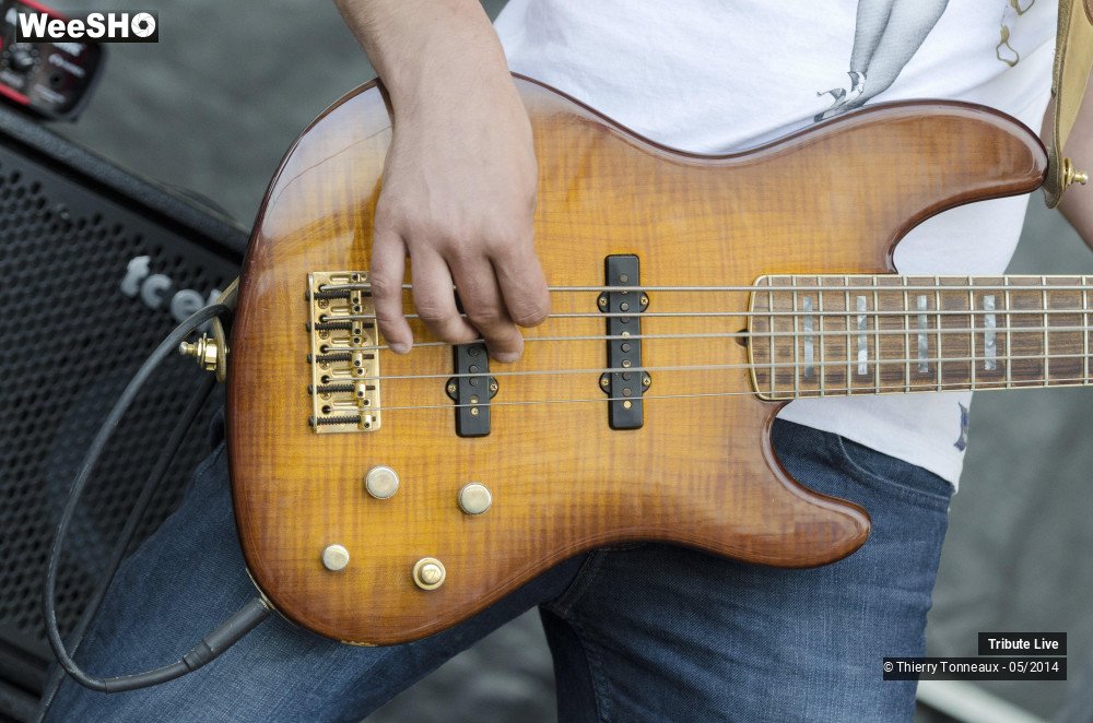 4/33 photos du spectacle Tribute Live