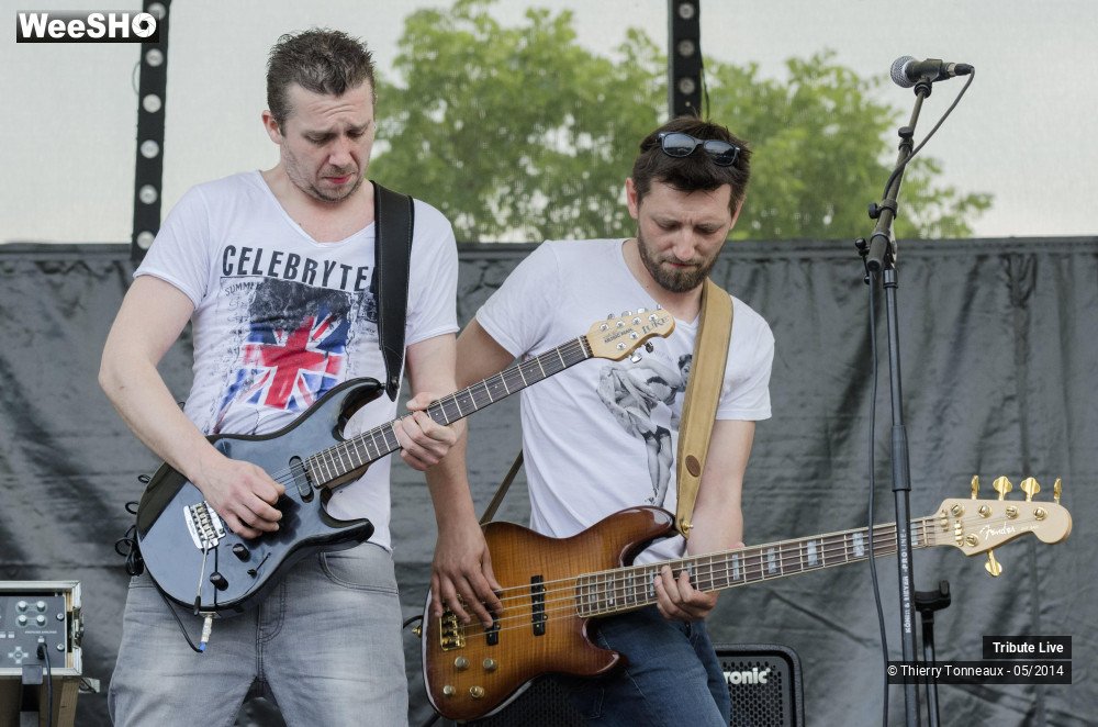 13/33 photos du spectacle Tribute Live