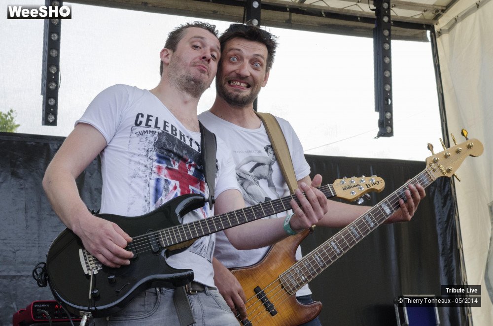 14/33 photos du spectacle Tribute Live