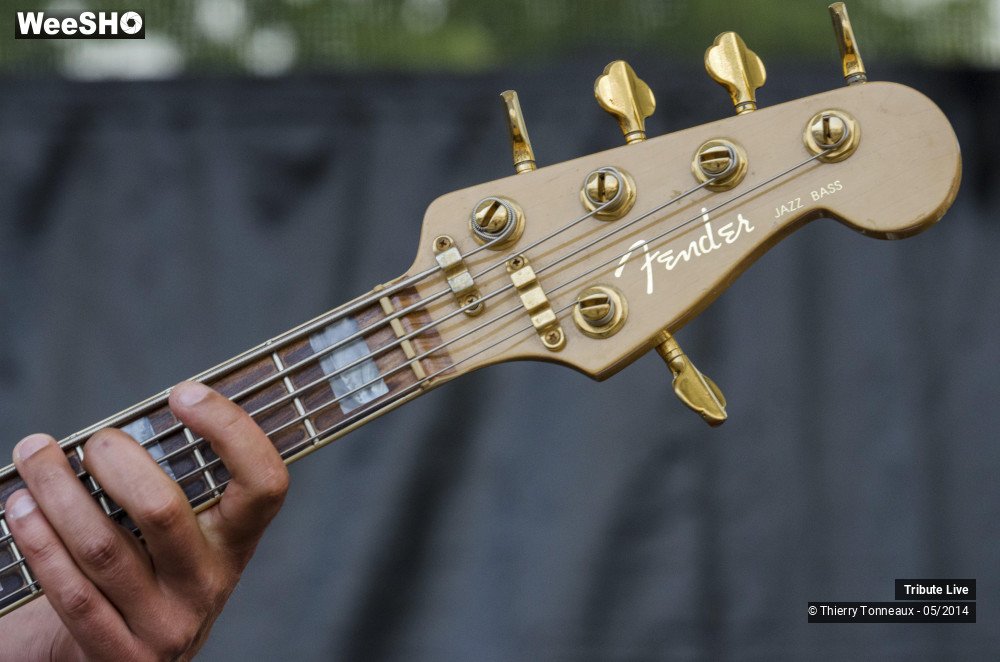 15/33 photos du spectacle Tribute Live