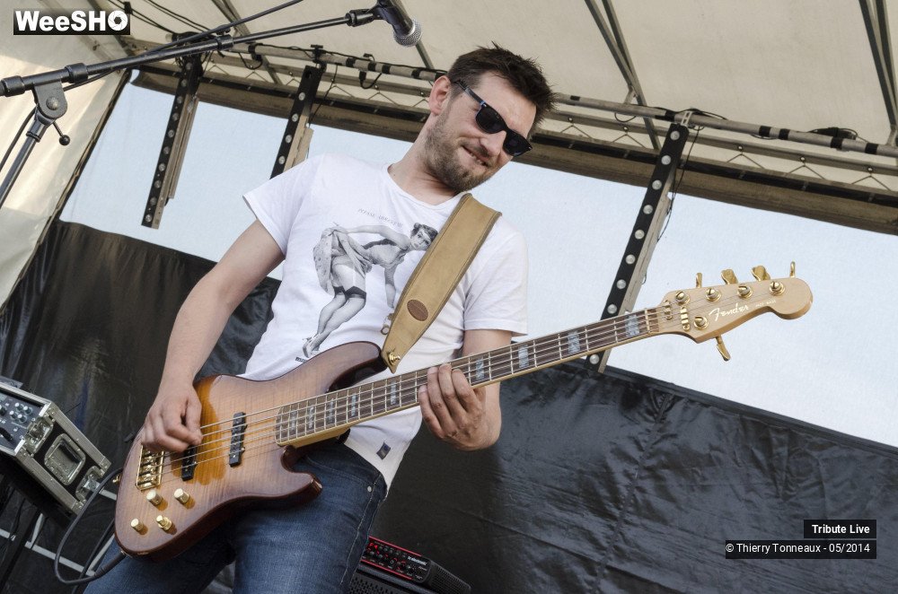 17/33 photos du spectacle Tribute Live