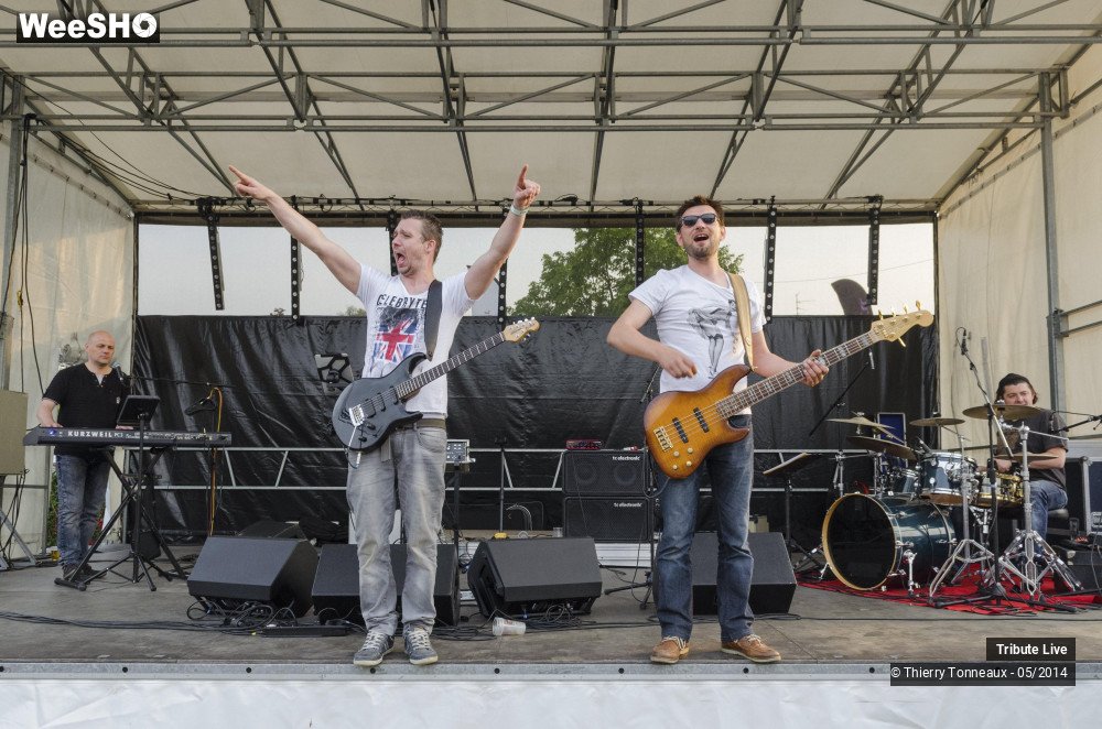 20/33 photos du spectacle Tribute Live