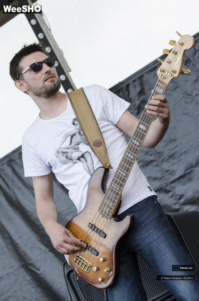 30/33 photos du spectacle Tribute Live