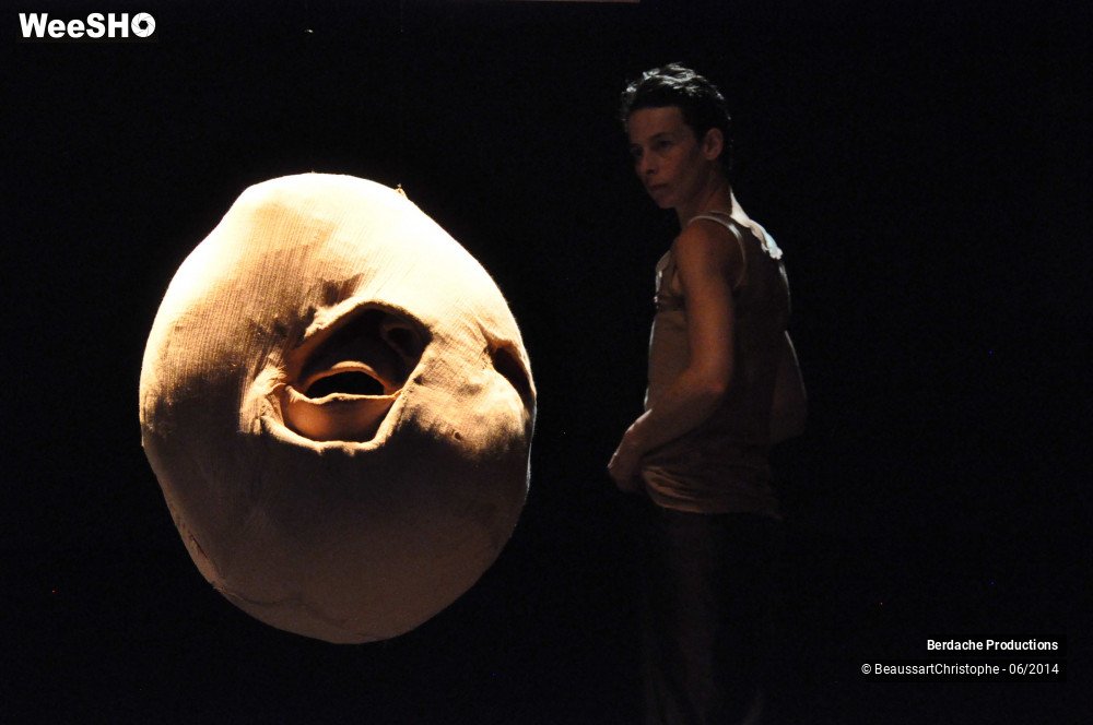 44/54 photos du spectacle Red Shoes