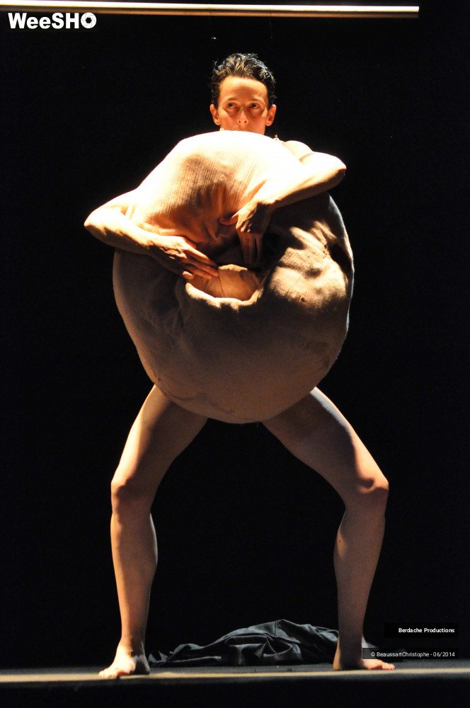 48/54 photos du spectacle Red Shoes