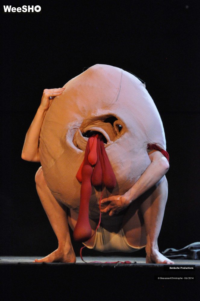 52/54 photos du spectacle Red Shoes