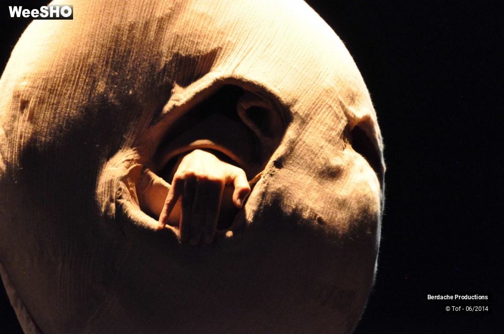 1/54 photos du spectacle Red Shoes