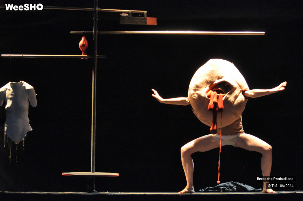 8/54 photos du spectacle Red Shoes