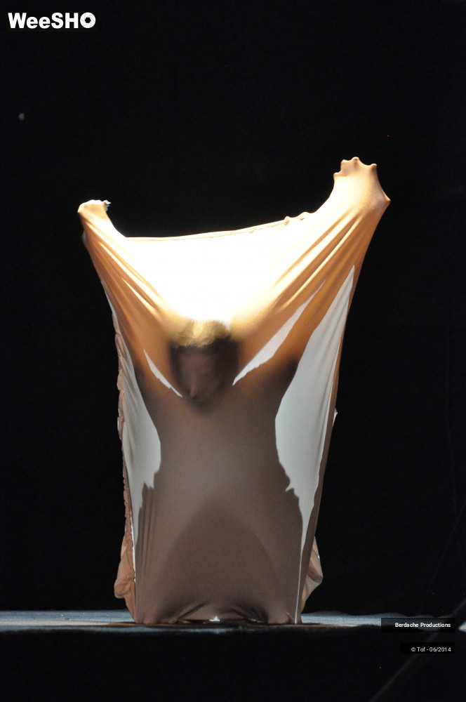 14/54 photos du spectacle Red Shoes