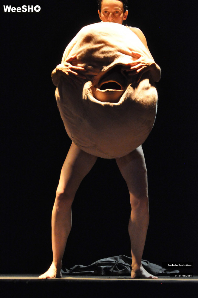 15/54 photos du spectacle Red Shoes