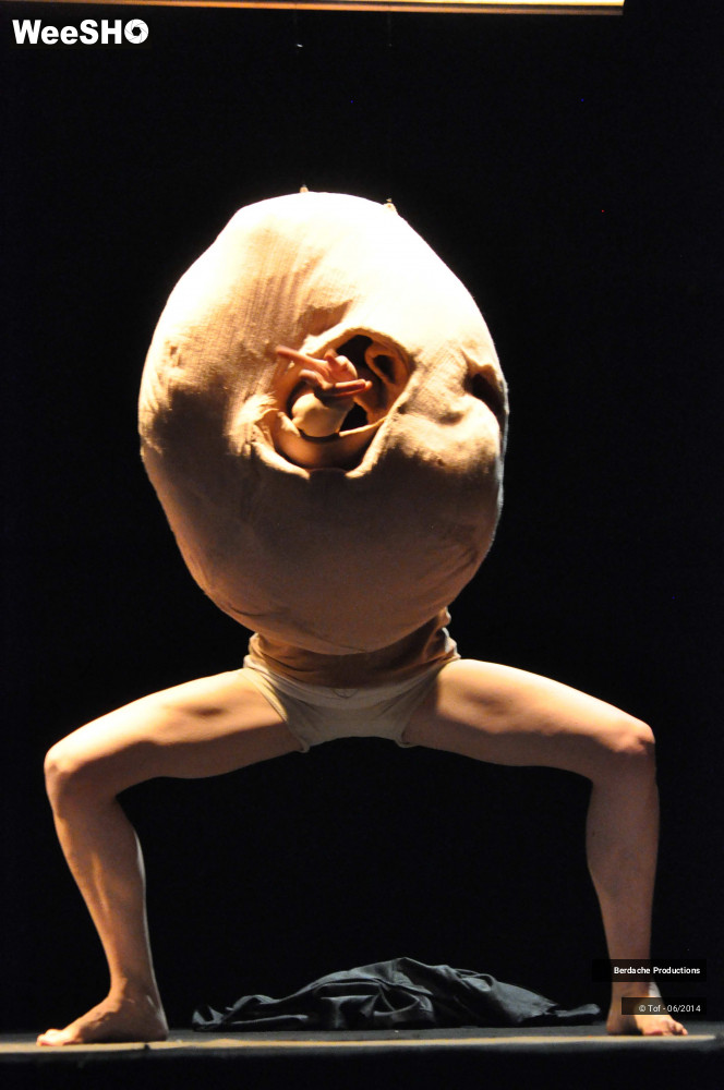 17/54 photos du spectacle Red Shoes