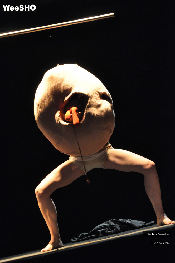 18/54 photos du spectacle Red Shoes