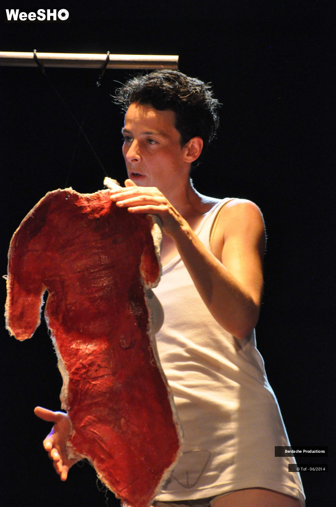 27/54 photos du spectacle Red Shoes