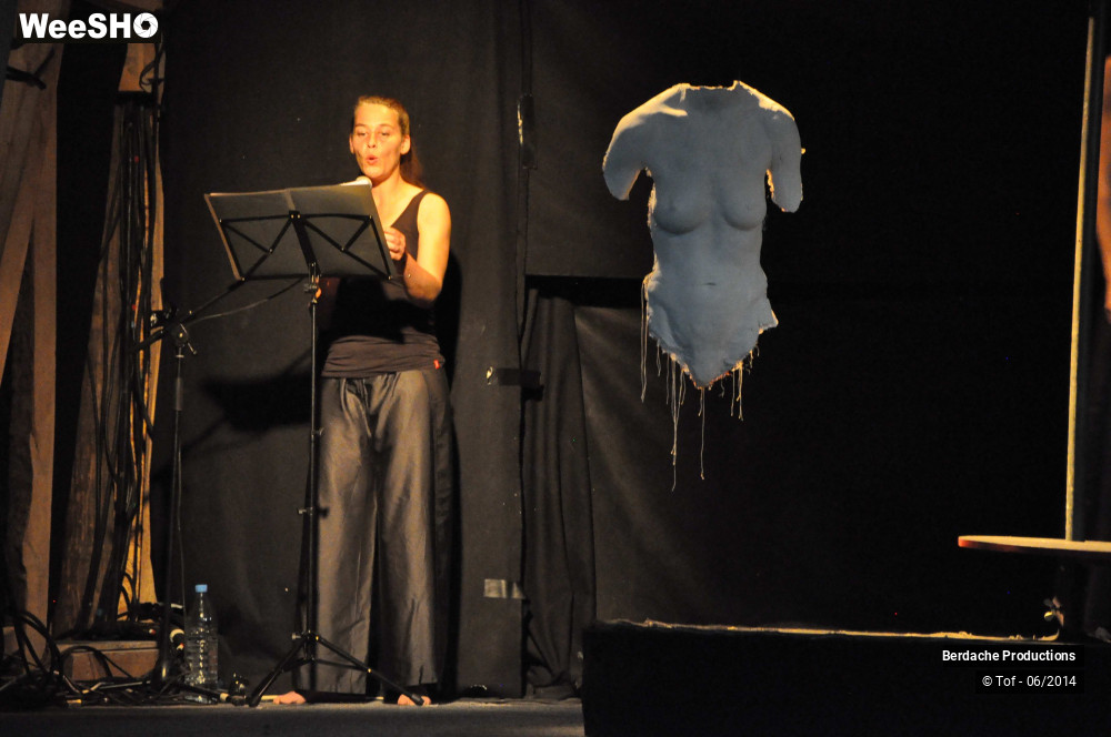 31/54 photos du spectacle Red Shoes