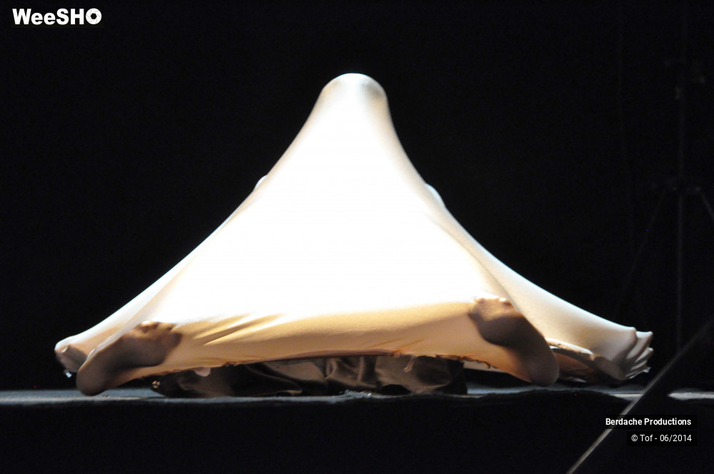 37/54 photos du spectacle Red Shoes