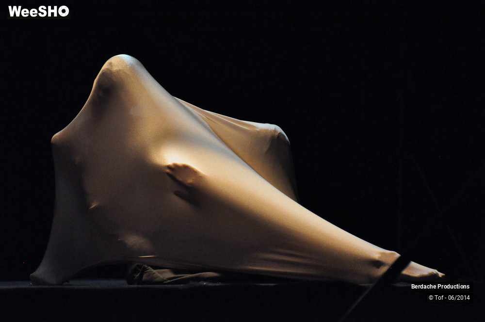 38/54 photos du spectacle Red Shoes