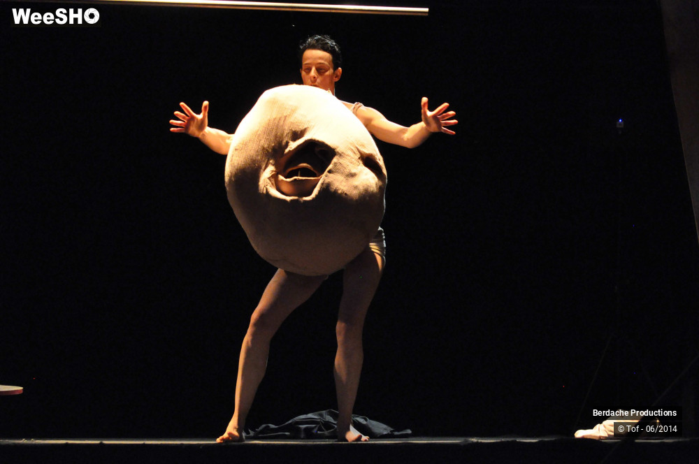 40/54 photos du spectacle Red Shoes