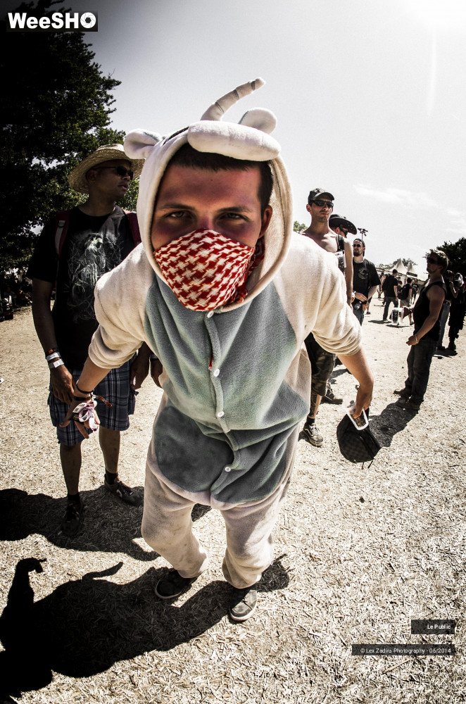 47/50 photos du spectacle HellFest 2014 Ambiance - Dimanche