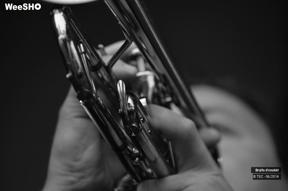 19/36 photos du spectacle Bruits d'couloir