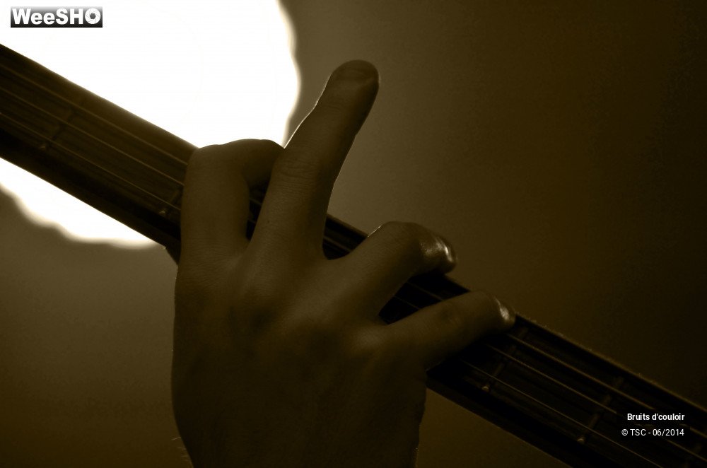 24/36 photos du spectacle Bruits d'couloir