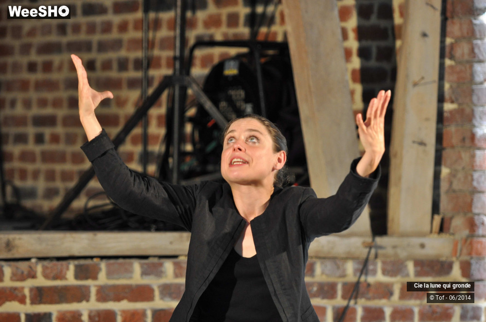 2/34 photos du spectacle La lune d'Emilien