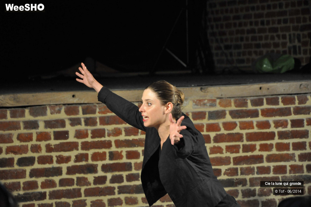 19/34 photos du spectacle La lune d'Emilien