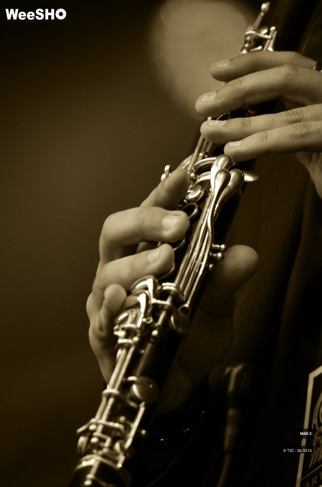 25/34 photos du spectacle MAD 2