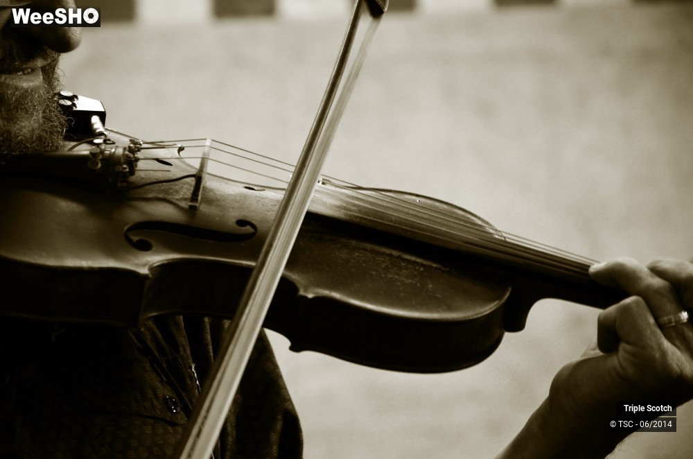 13/14 photos du spectacle Triple scotch