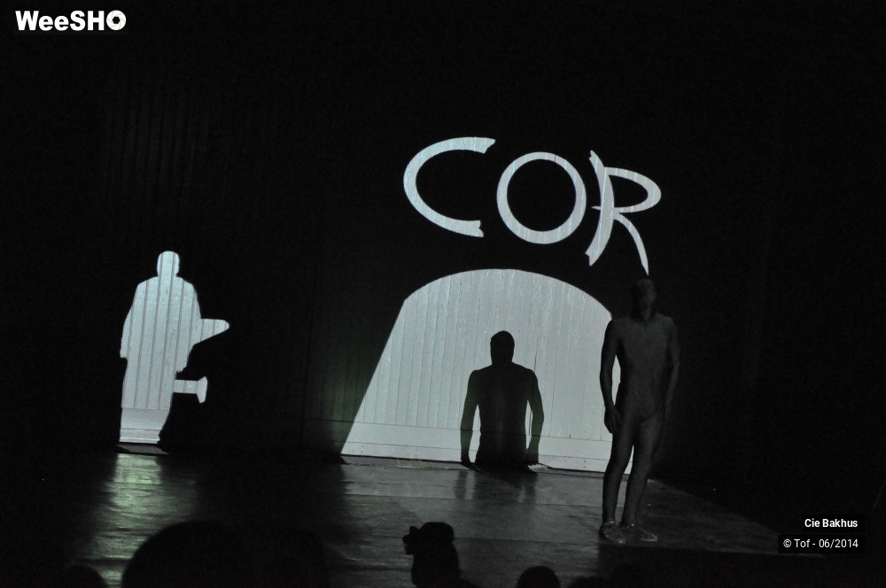 7/12 photos du spectacle A l'ombre de Coré