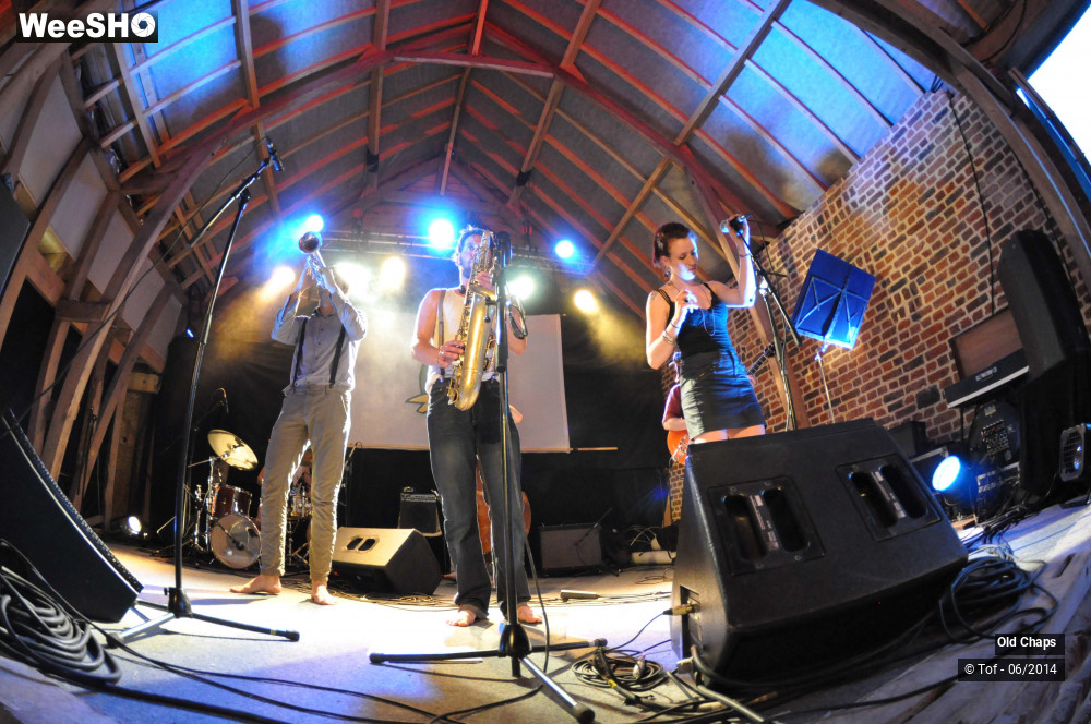 10/45 photos du spectacle Old Chaps