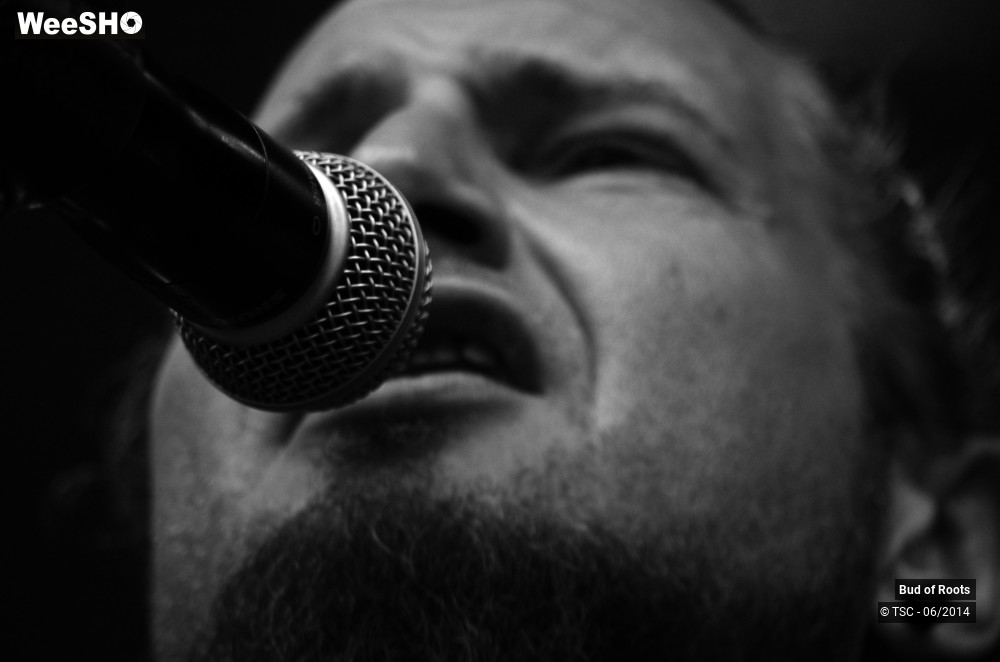 1/44 photos du spectacle Bud of Roots