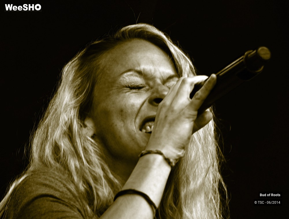 2/44 photos du spectacle Bud of Roots