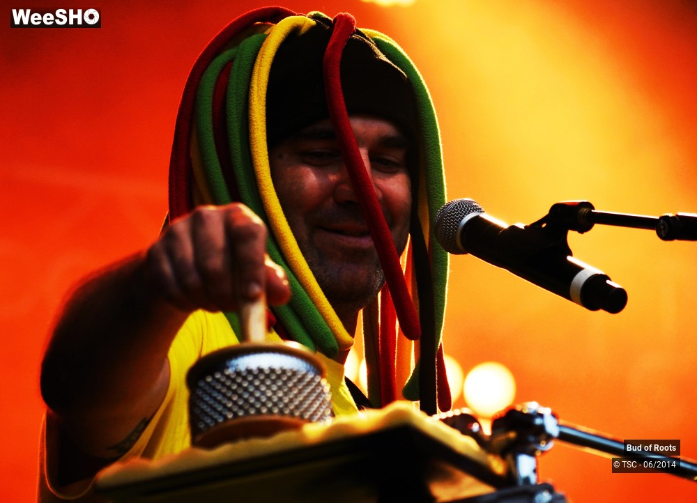 4/44 photos du spectacle Bud of Roots