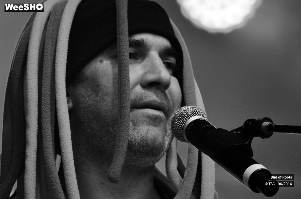 8/44 photos du spectacle Bud of Roots