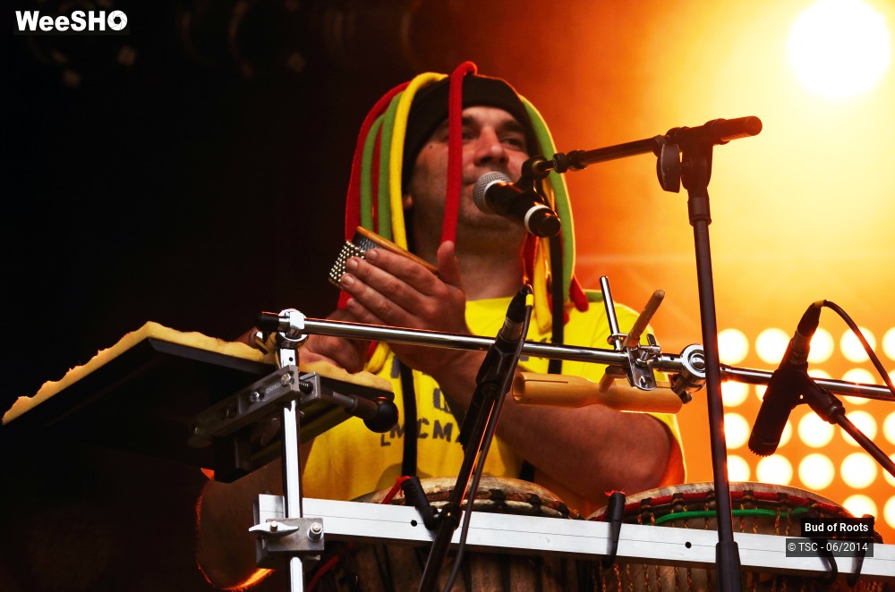 9/44 photos du spectacle Bud of Roots