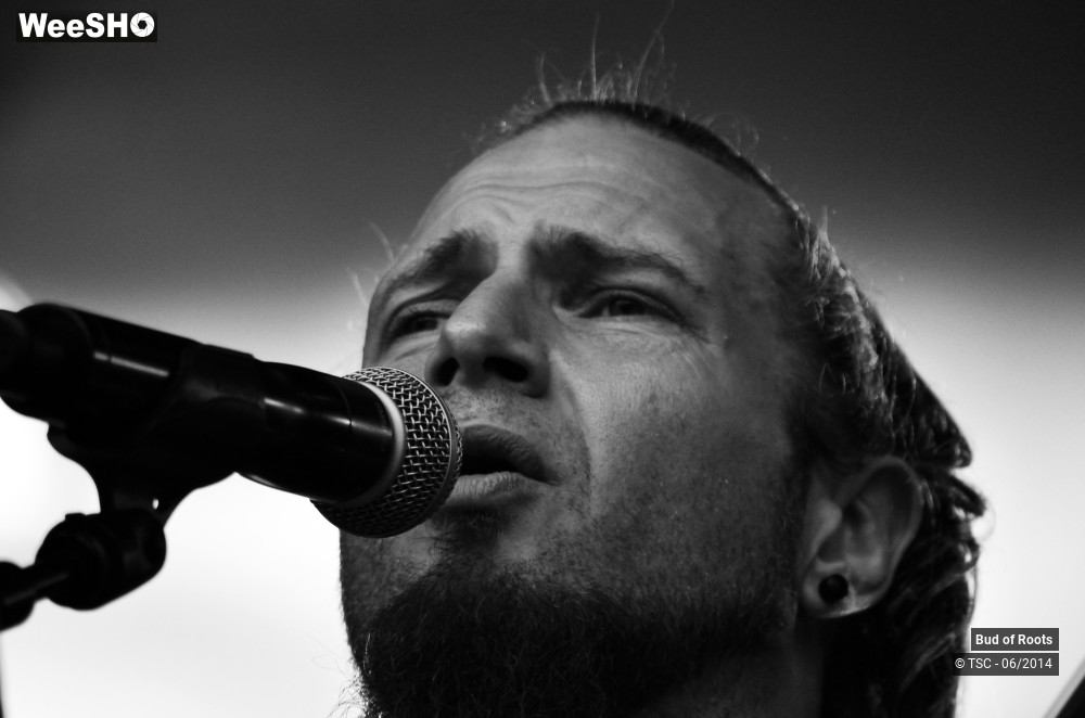 12/44 photos du spectacle Bud of Roots