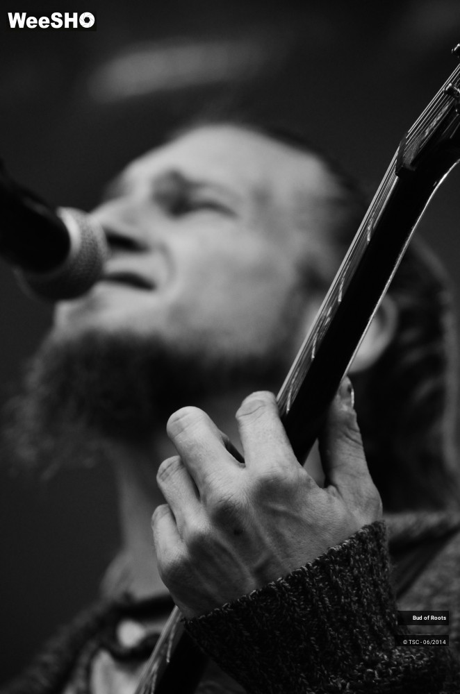 13/44 photos du spectacle Bud of Roots