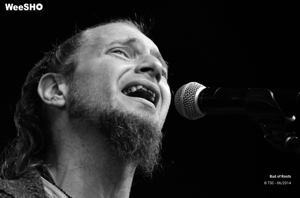 14/44 photos du spectacle Bud of Roots