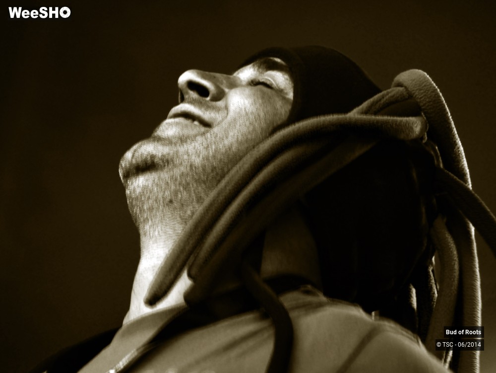 15/44 photos du spectacle Bud of Roots