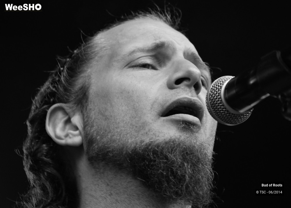 17/44 photos du spectacle Bud of Roots