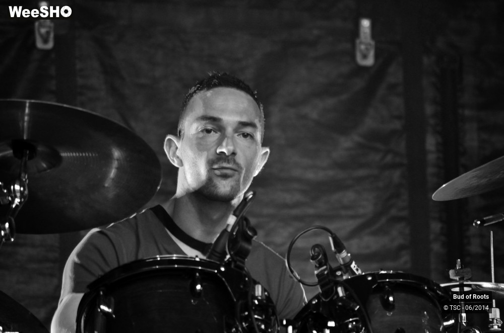 18/44 photos du spectacle Bud of Roots