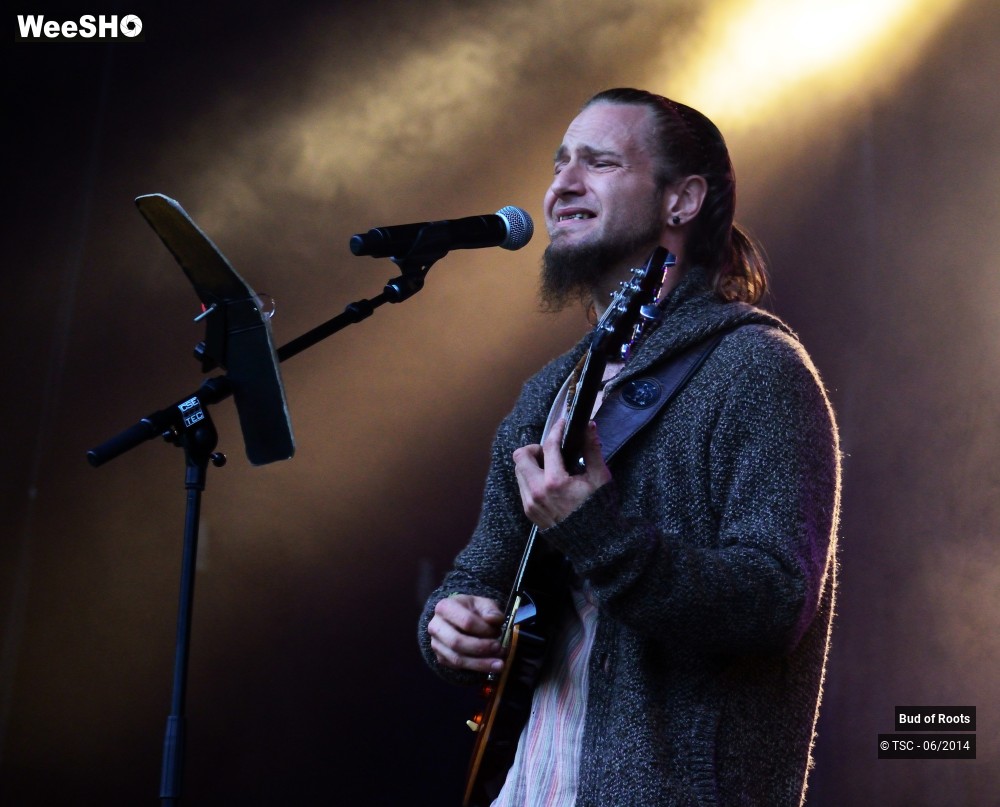 20/44 photos du spectacle Bud of Roots