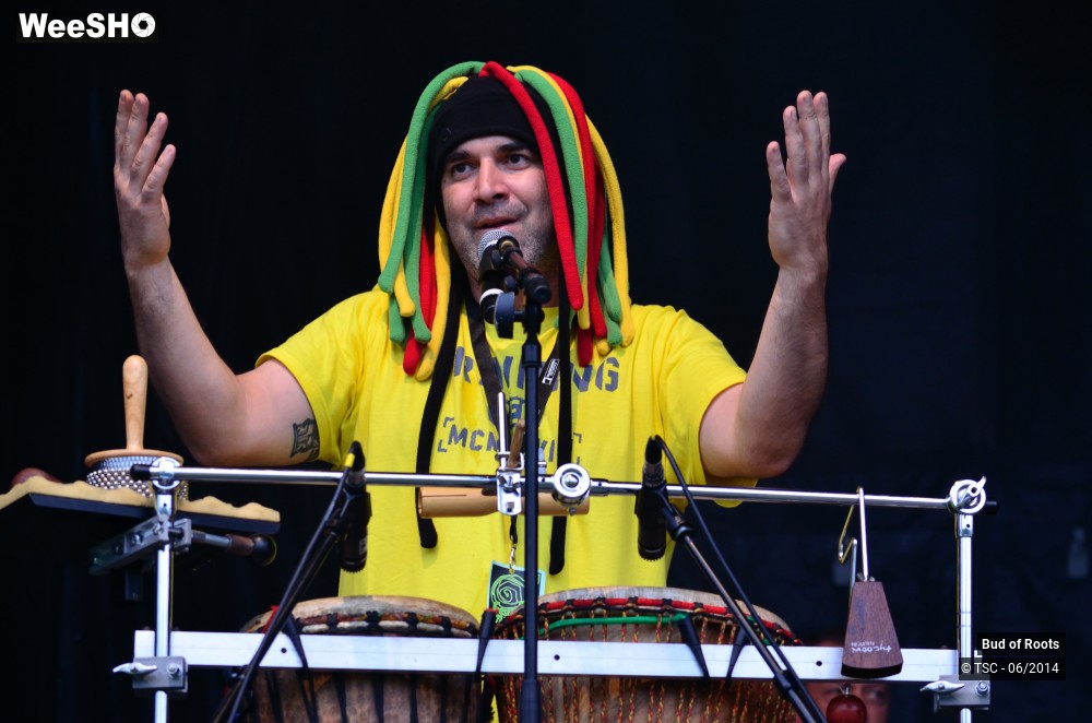 23/44 photos du spectacle Bud of Roots