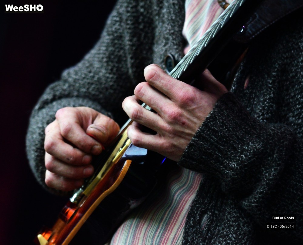 24/44 photos du spectacle Bud of Roots